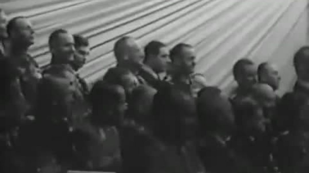 ¿La Guerra de Hitler? "Hitler's Krieg?" Documental subtitulado (2009)