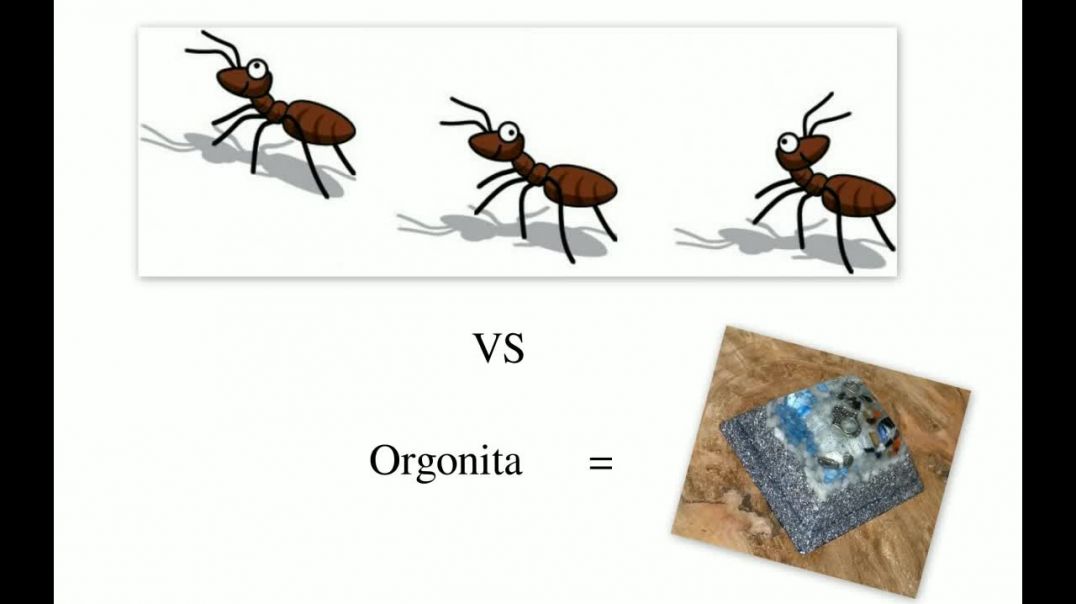 Experimento casero con Hormigas VS Orgonita. [720p].mp4