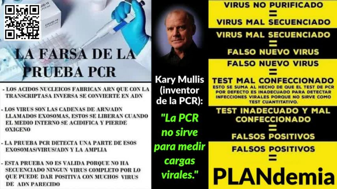 La FARSA de la PCR (Dra. María José Albarracín) - YouTube.webm