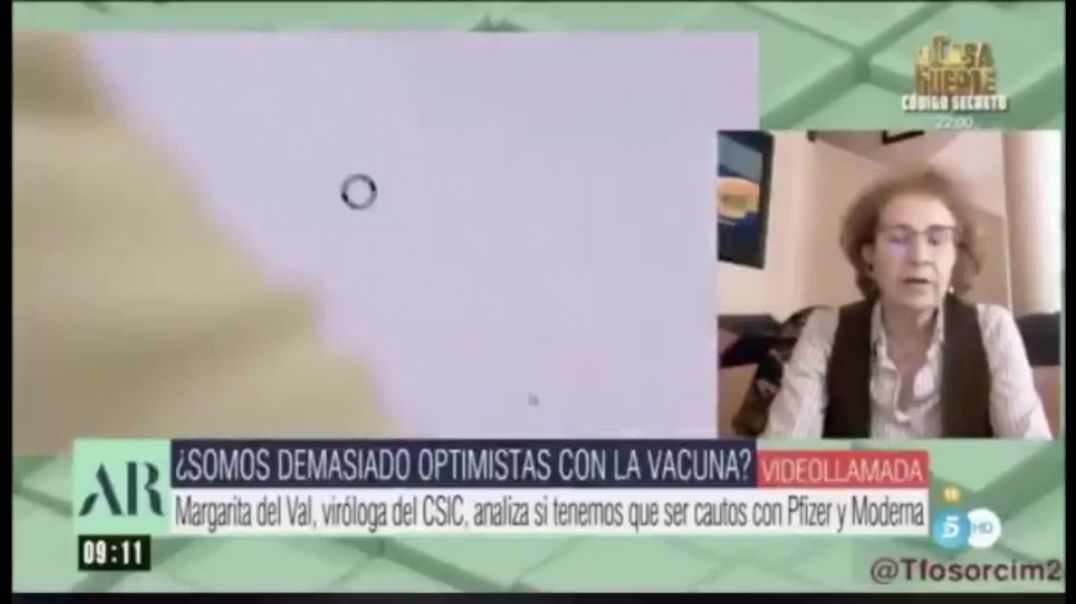 Virología Margarita del Val