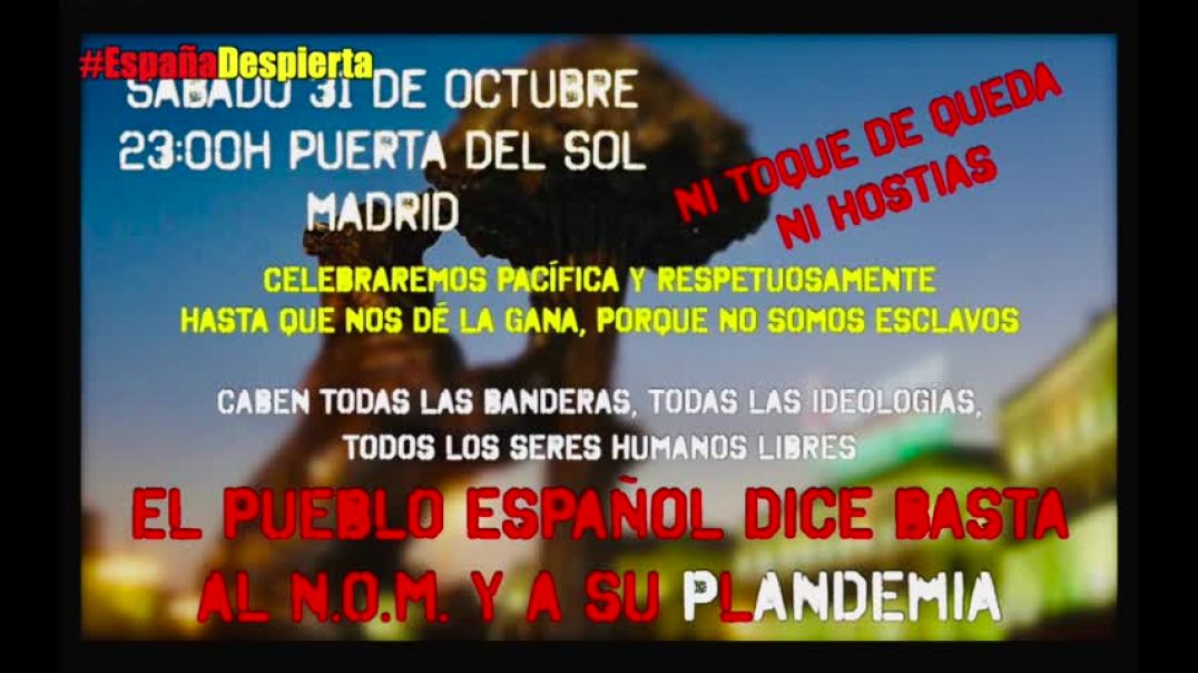crónica del 31 O Madrid _ violencia, infiltrados, policías cómplices
